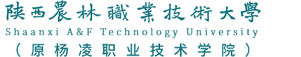 杨凌职业学院（新）手机版