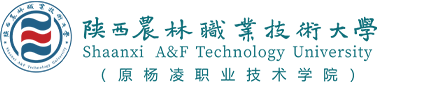 杨凌职业学院（新）手机版